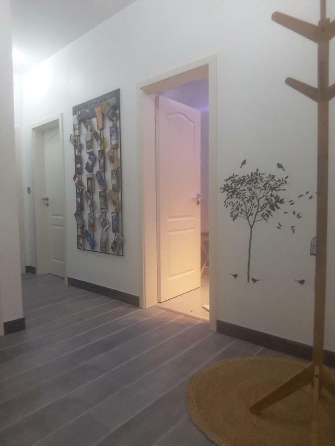 Ferienwohnung Chez Moera -Sur la Route Des Vins - Kaysersberg Exterior foto