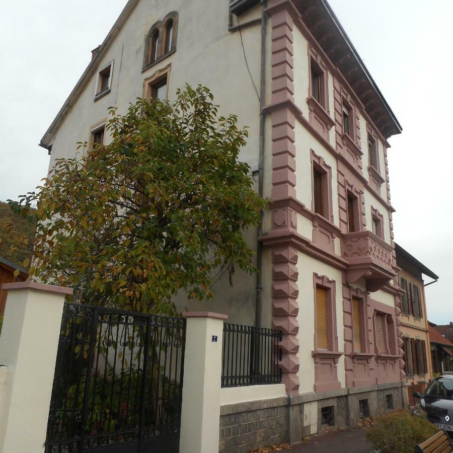 Ferienwohnung Chez Moera -Sur la Route Des Vins - Kaysersberg Exterior foto